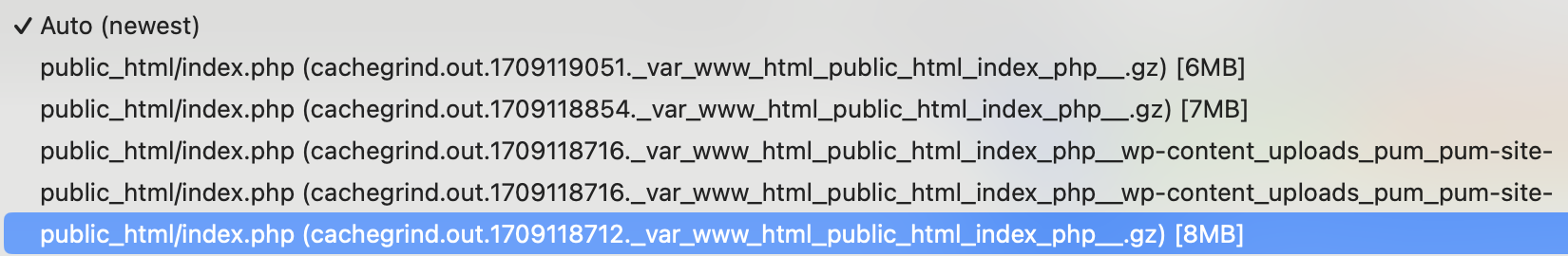 A photo of a list of files in Webgrind